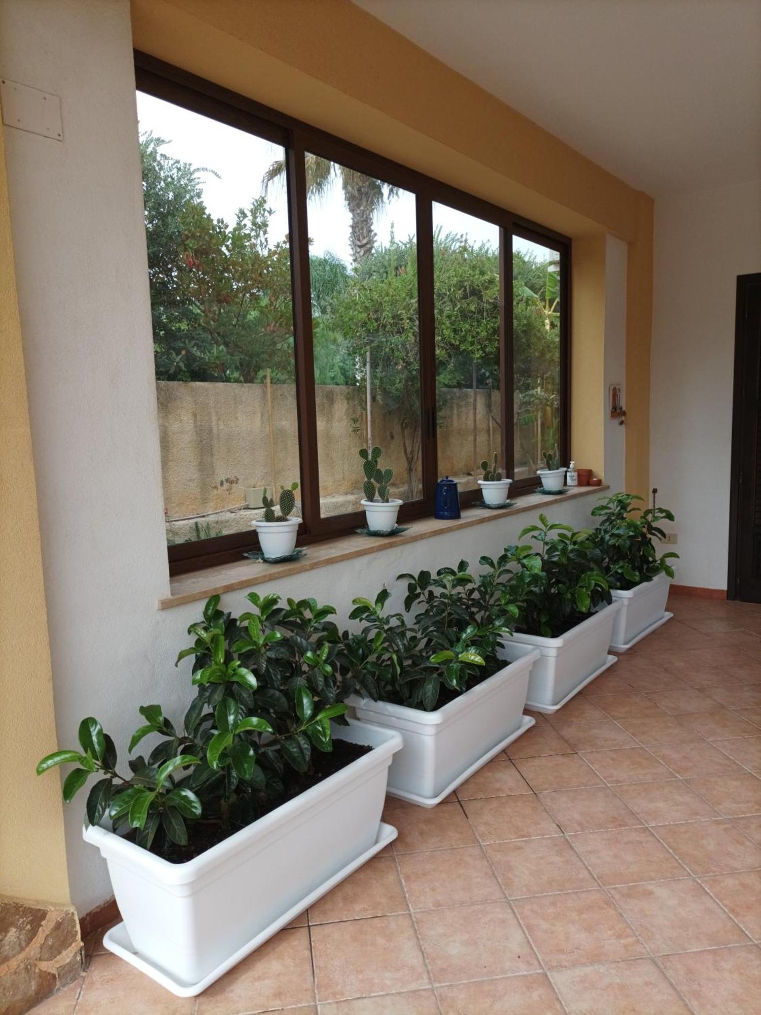 Acasammare Apartment Marsala Esterno foto